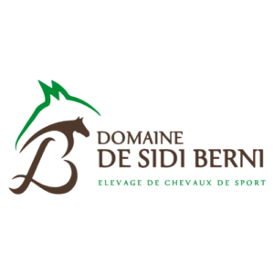 LOGO DSB